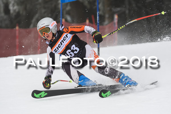 3. Ziener Cup RS