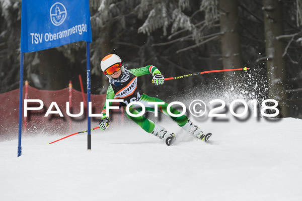 3. Ziener Cup RS