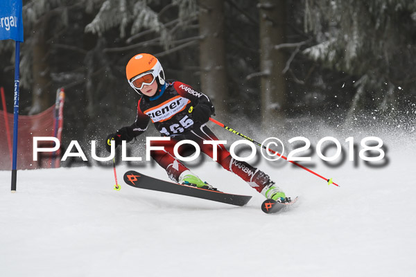 3. Ziener Cup RS