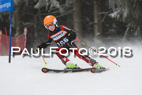 3. Ziener Cup RS