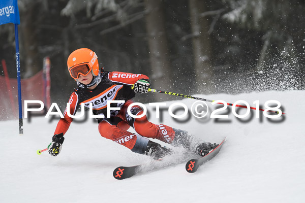 3. Ziener Cup RS