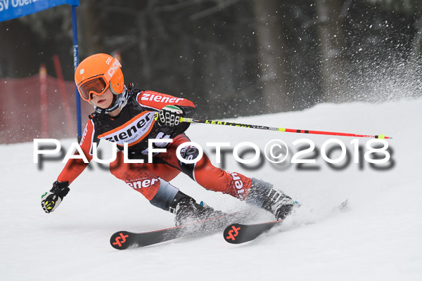 3. Ziener Cup RS
