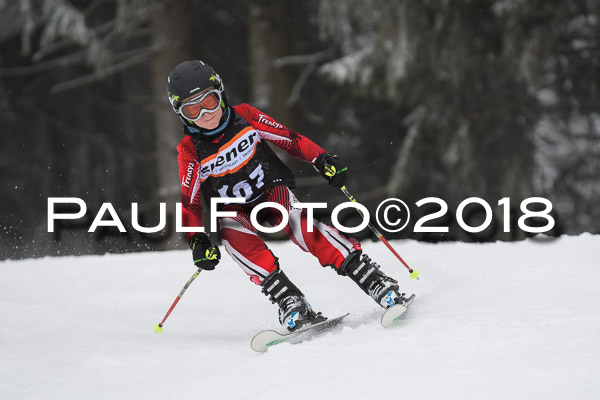 3. Ziener Cup RS