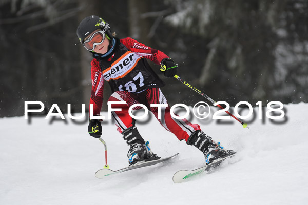 3. Ziener Cup RS