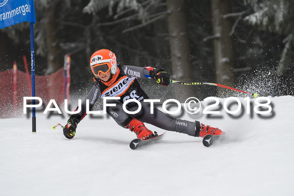3. Ziener Cup RS