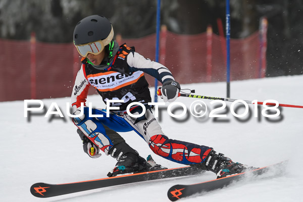 3. Ziener Cup RS