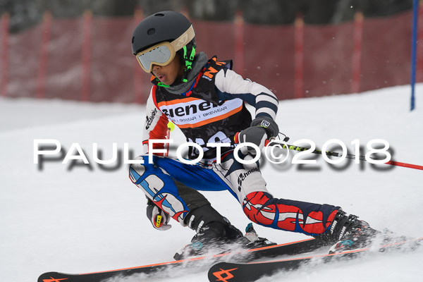 3. Ziener Cup RS