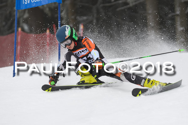 3. Ziener Cup RS