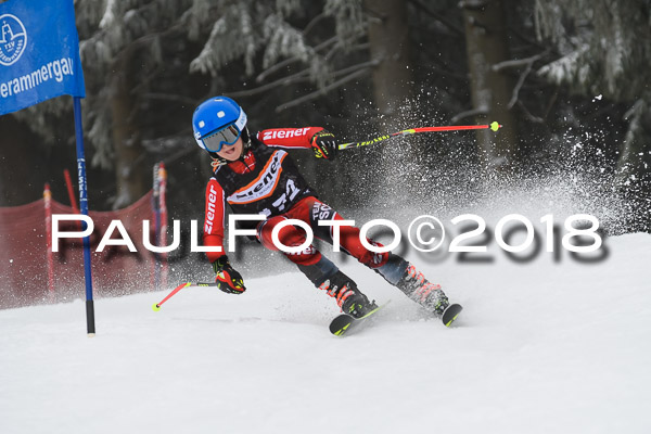 3. Ziener Cup RS