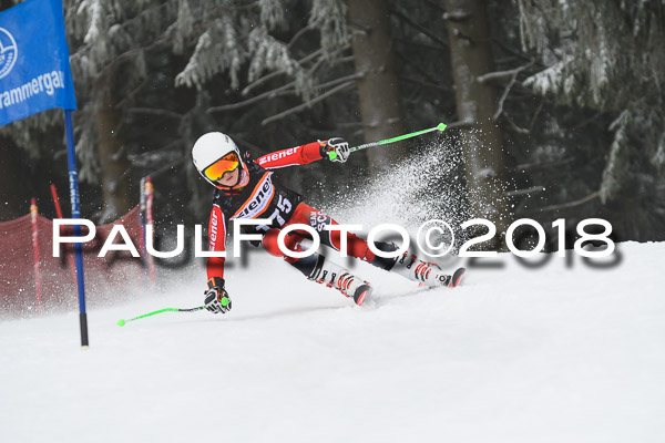 3. Ziener Cup RS