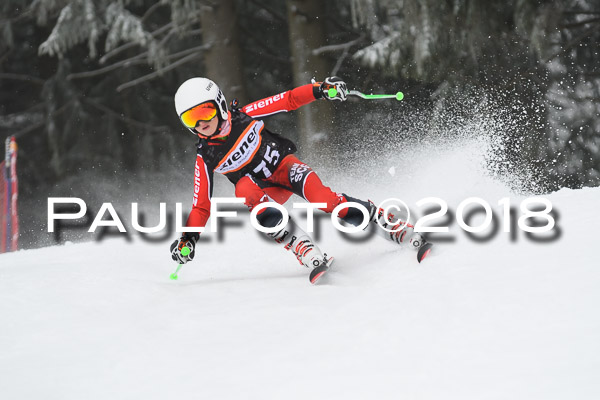 3. Ziener Cup RS