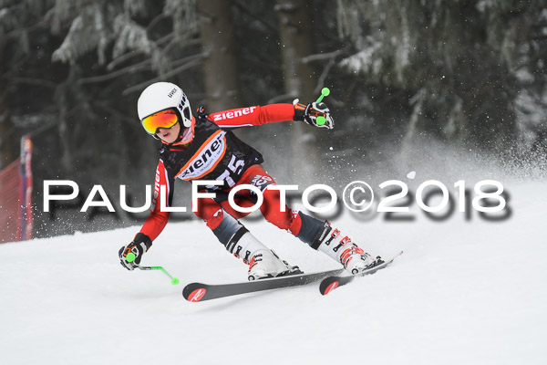 3. Ziener Cup RS