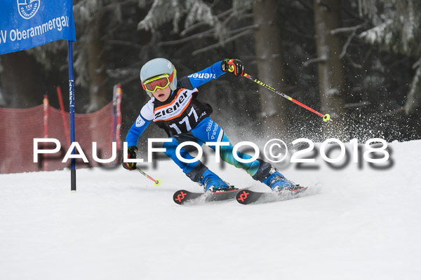 3. Ziener Cup RS