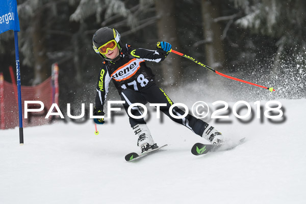 3. Ziener Cup RS