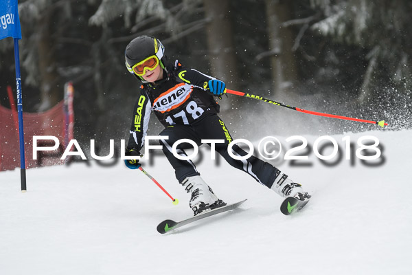 3. Ziener Cup RS