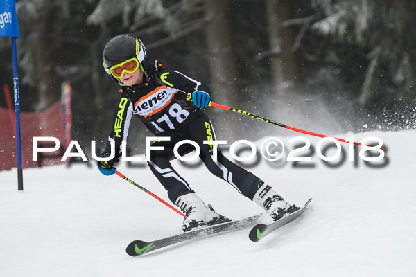 3. Ziener Cup RS
