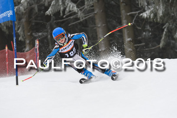 3. Ziener Cup RS