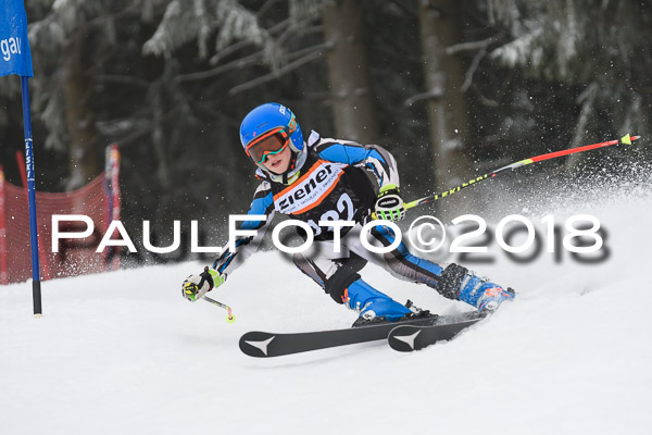 3. Ziener Cup RS