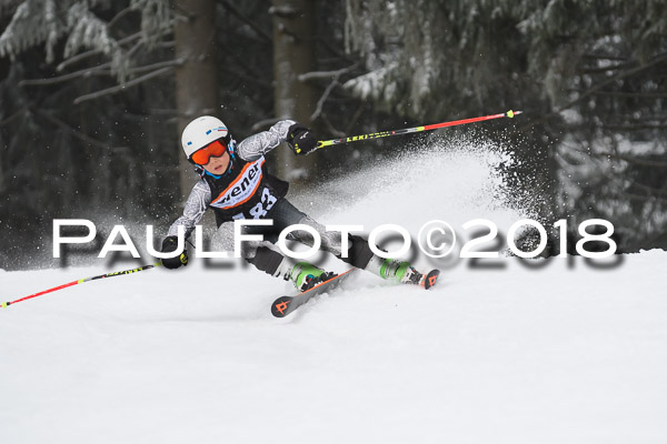 3. Ziener Cup RS