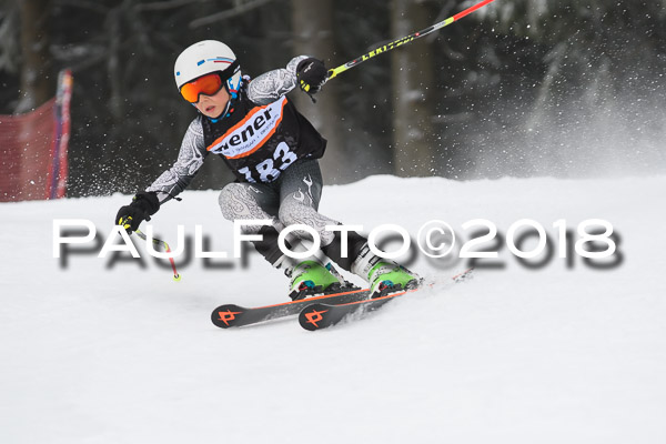 3. Ziener Cup RS