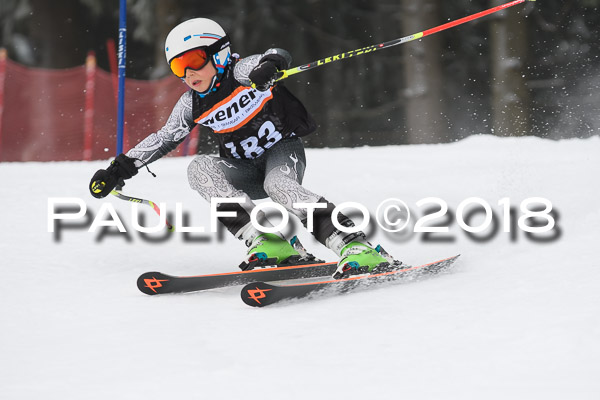 3. Ziener Cup RS