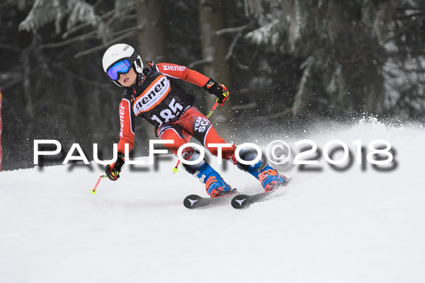 3. Ziener Cup RS