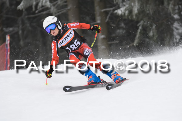 3. Ziener Cup RS