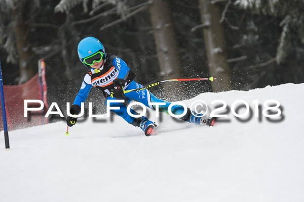 3. Ziener Cup RS