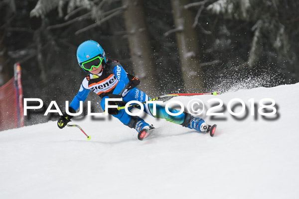 3. Ziener Cup RS