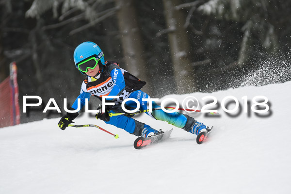 3. Ziener Cup RS