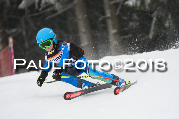 3. Ziener Cup RS