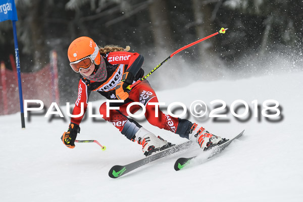 3. Ziener Cup RS