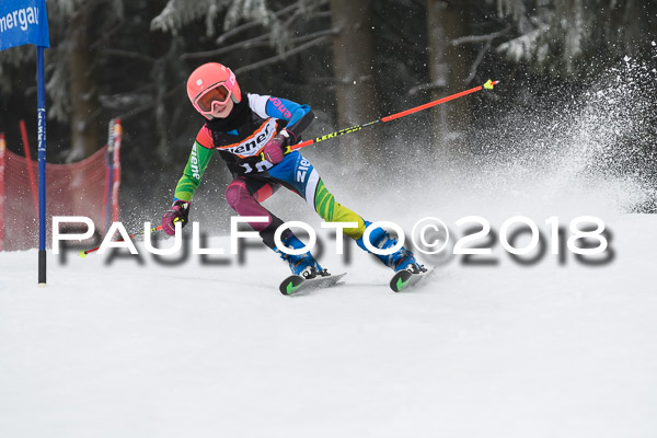 3. Ziener Cup RS