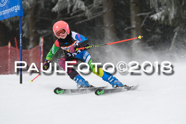 3. Ziener Cup RS