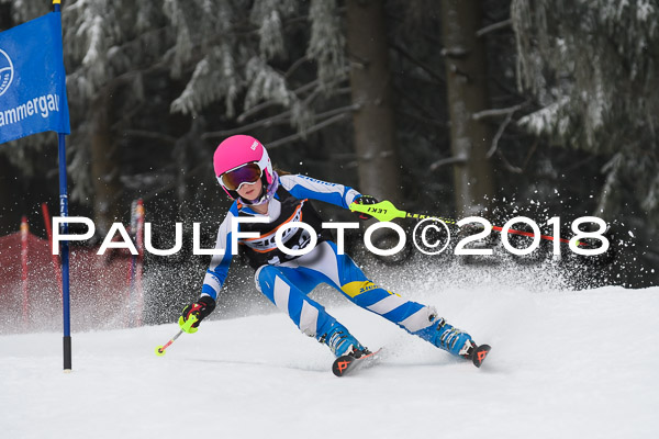 3. Ziener Cup RS