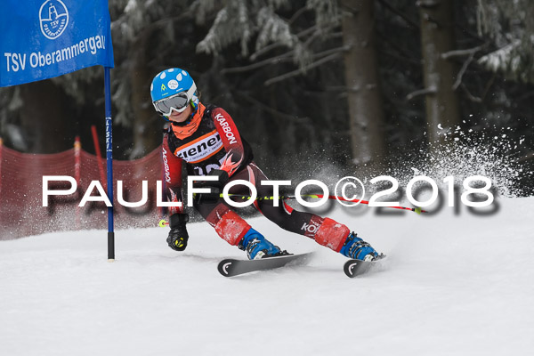 3. Ziener Cup RS