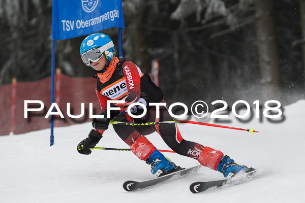 3. Ziener Cup RS