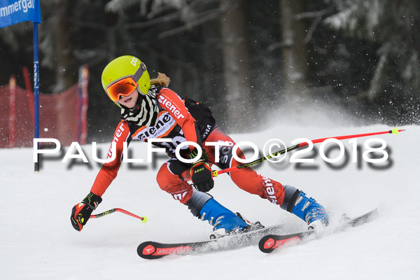 3. Ziener Cup RS