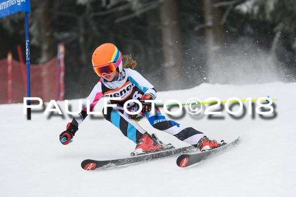 3. Ziener Cup RS