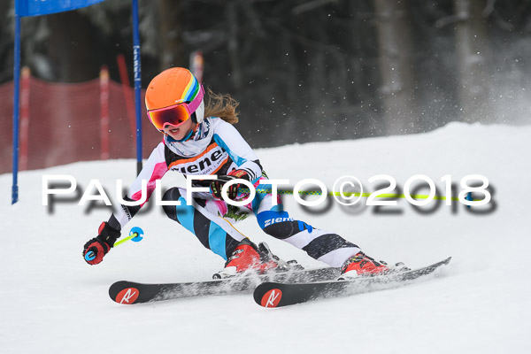 3. Ziener Cup RS