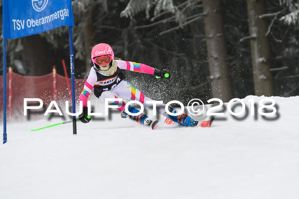 3. Ziener Cup RS