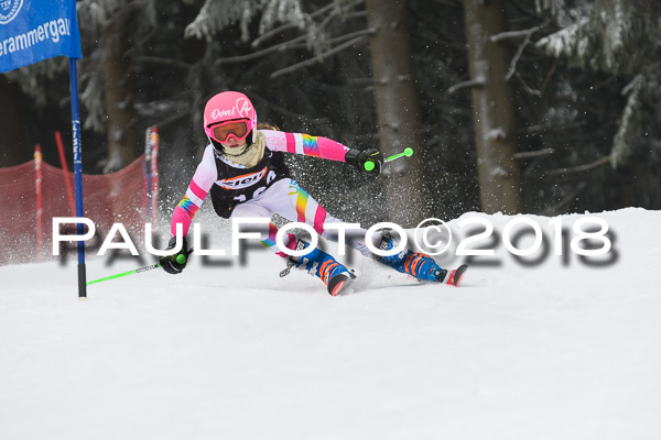 3. Ziener Cup RS