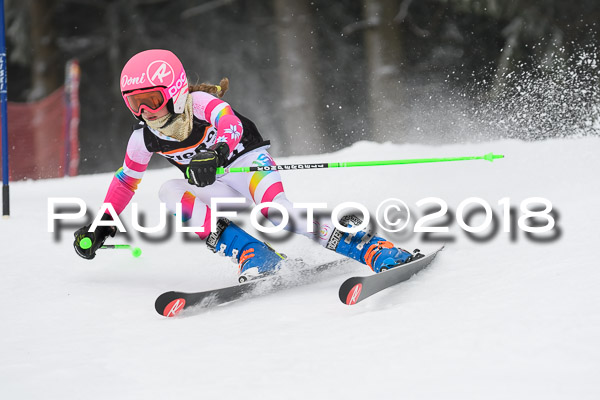 3. Ziener Cup RS