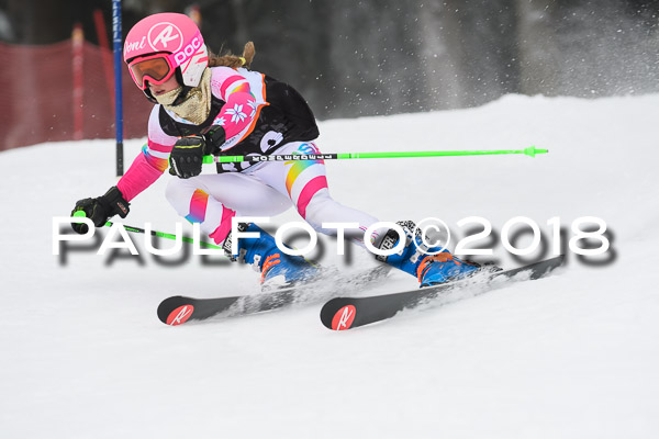 3. Ziener Cup RS
