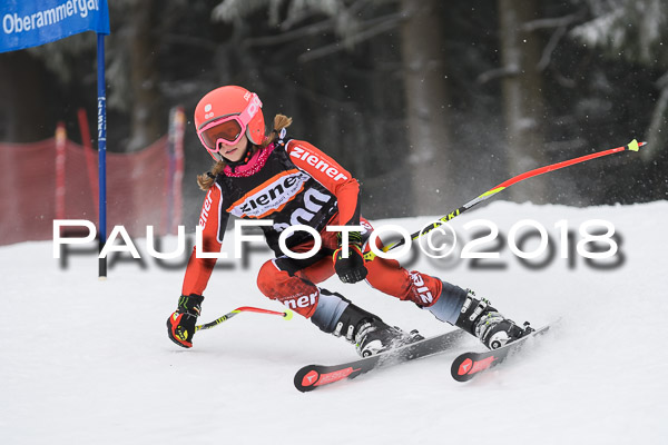 3. Ziener Cup RS