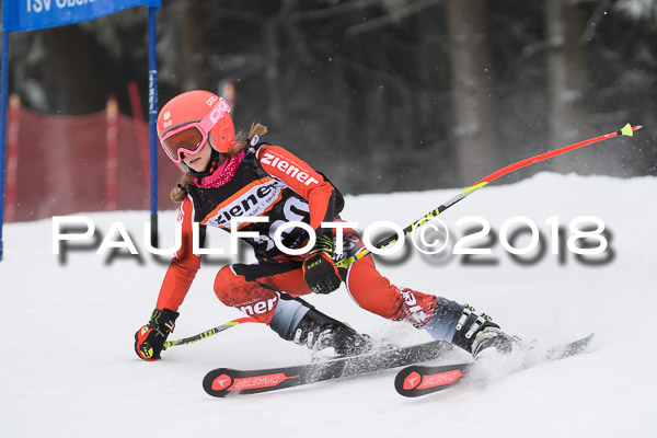 3. Ziener Cup RS