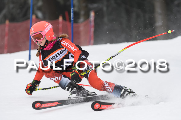 3. Ziener Cup RS