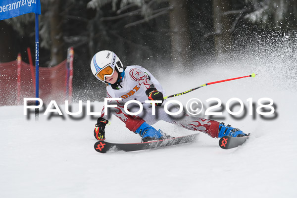 3. Ziener Cup RS