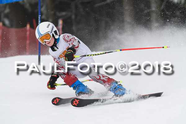 3. Ziener Cup RS
