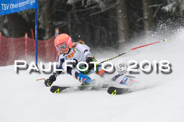 3. Ziener Cup RS